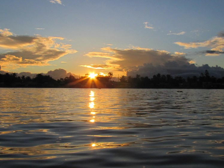 IMG_2057 - Copie - Copie - Copie.JPG