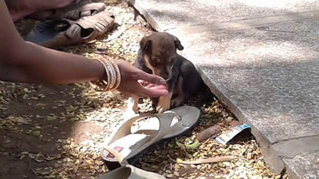 fb_img_1480573790063