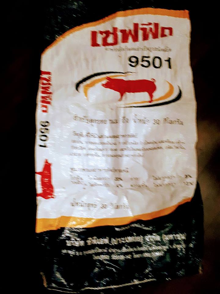 24131064_10155955255233910_2708293704523901172_n