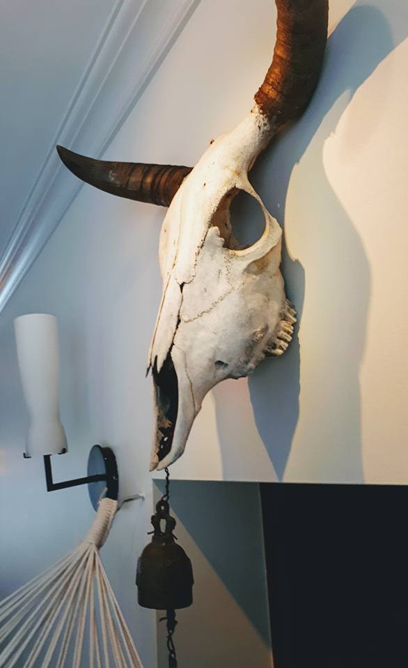 24129794_10155962041973910_2397030554465902344_n