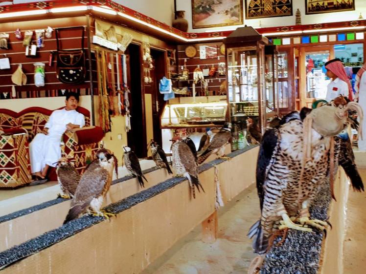 24131081_10155963225868910_3982355172439902201_n