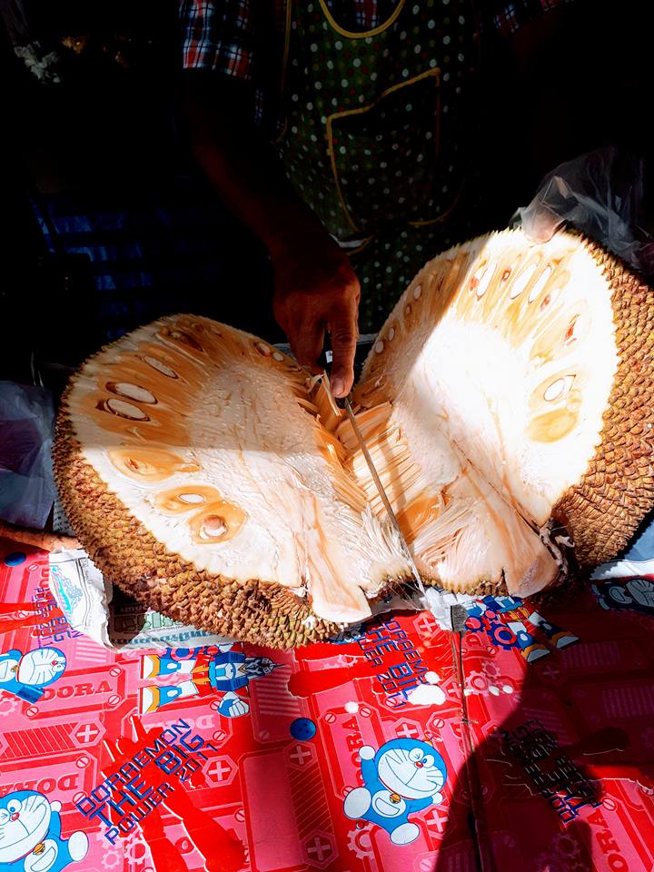 24177221_10155962052193910_7638040154490800333_n