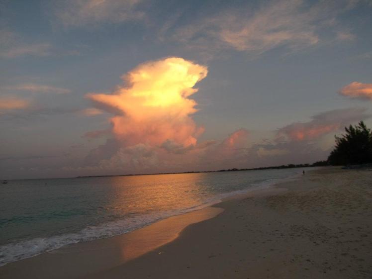 255221_10151114151873910_69582421_n