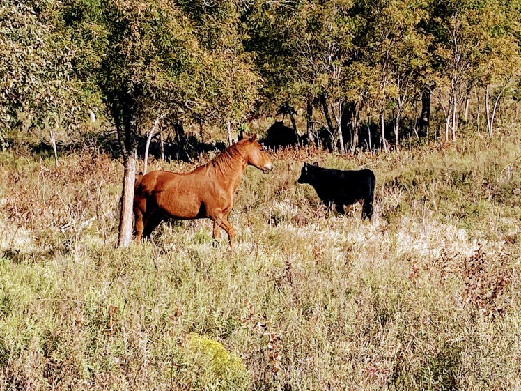 lnd_93c890bc-b422-46f1-a226-c6ca756fca55