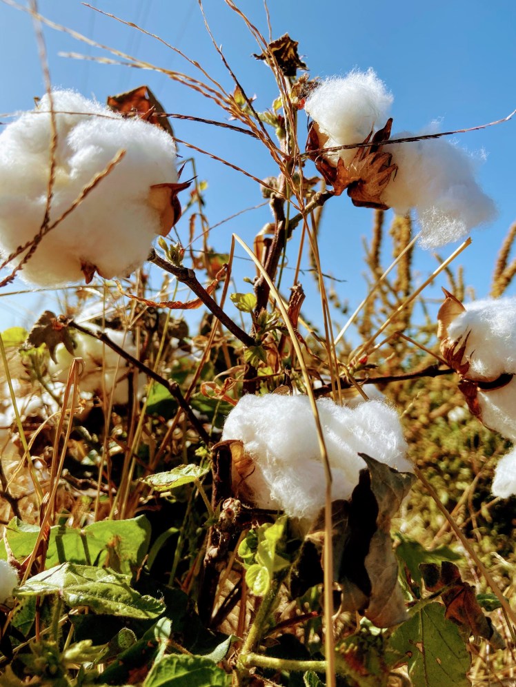 lnd_963b5096-4456-4902-8fde-88af6f0c38cd